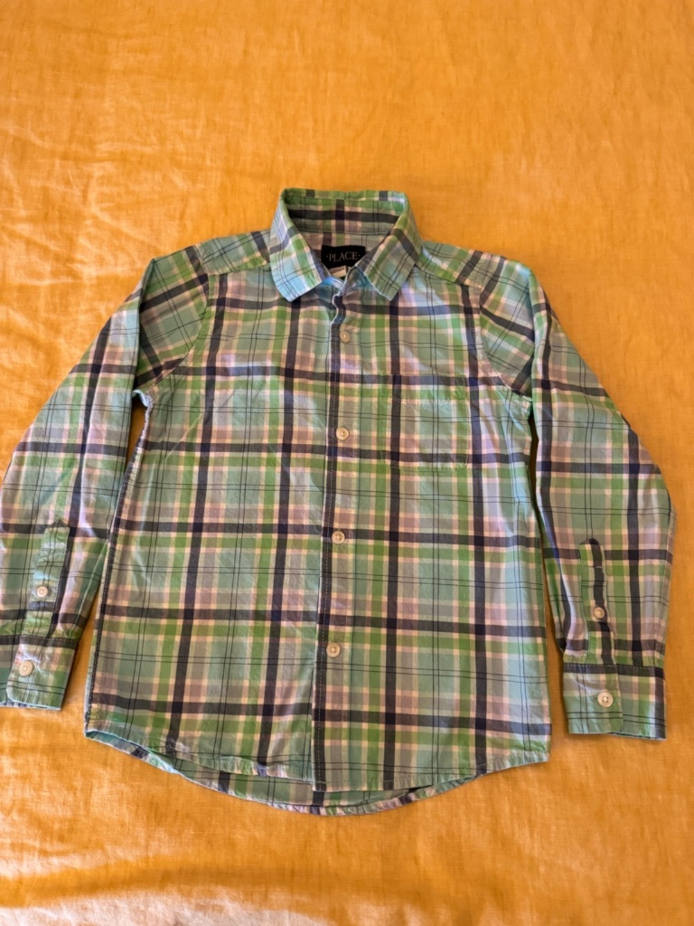 The Children's Place Green and Blue Plaid Button-Down Shirt